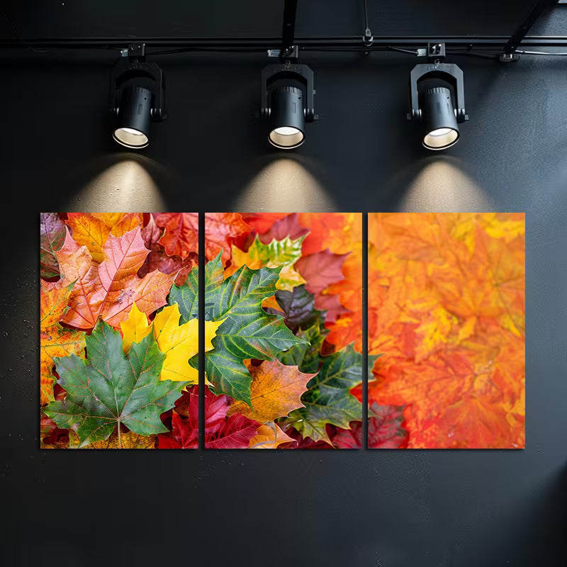 3pcs Vibrant Autumn Leaves in Different Shades Wall Art Set Canvas Framed 50x70cm - High Quality Print 100% Australian Made Wall Canvas Ready to Hang