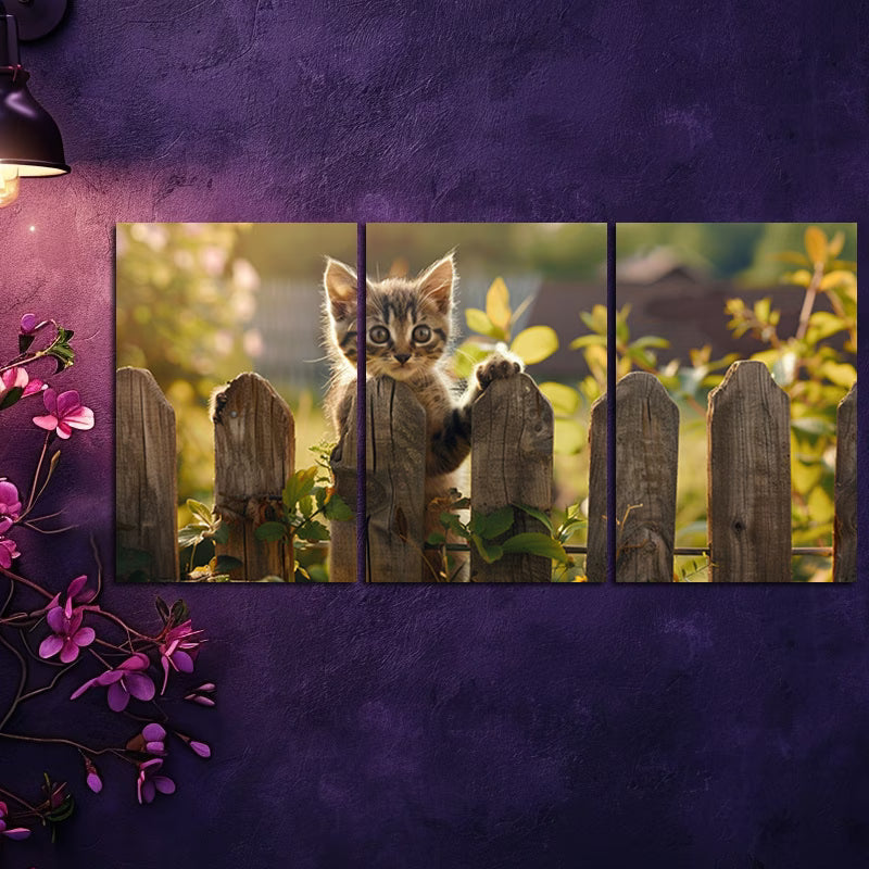 3pcs Charming Kitten at the Fence Wall Art Set Canvas Framed 50x70cm - High Quality Print 100% Australian Made Wall Canvas Ready to Hang
