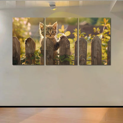 3pcs Charming Kitten at the Fence Wall Art Set Canvas Framed 50x70cm - High Quality Print 100% Australian Made Wall Canvas Ready to Hang