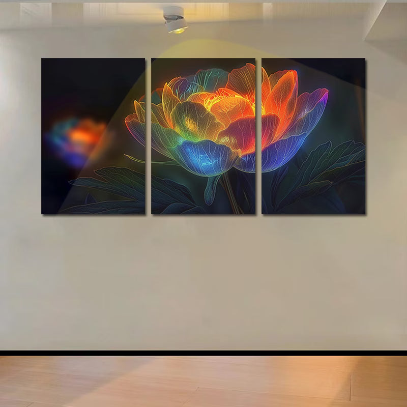 3pcs Peony Flower with Rainbow Colors Wall Art Set Canvas Framed 50x70cm - High Quality Print 100% Australian Made Wall Canvas Ready to Hang