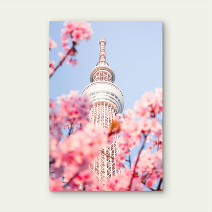 Tokyo Skytree Framed By Cherry Blossoms In Full Bloom 40x60cm Metal Print Ready to Hang