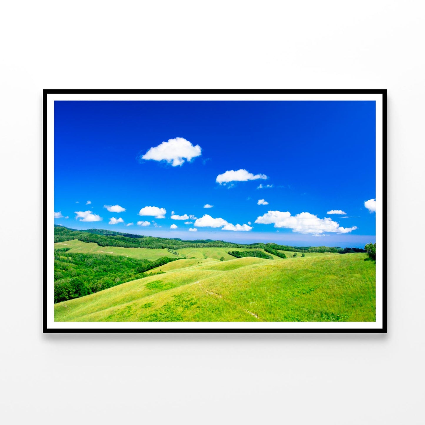 Grassland Scenery of the Northern Land Home Decor Premium Quality Poster Print Choose Your Sizes