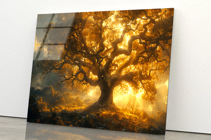 Sunset in the Forest View Acrylic Glass Print Tempered Glass Wall Art 100% Made in Australia Ready to Hang