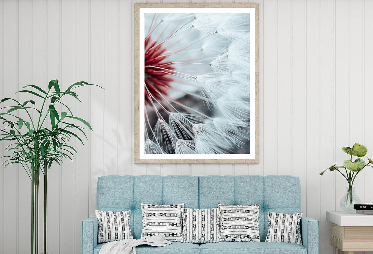 Dandelion Flower Seed In Springtime Home Decor Premium Quality Poster Print Choose Your Sizes