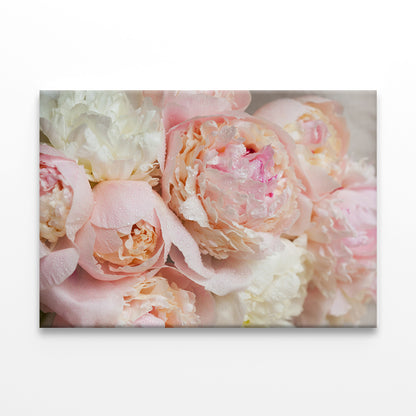 Pink Peonies Bouquet Close-Up  Wall Art Decor 100% Australian Made