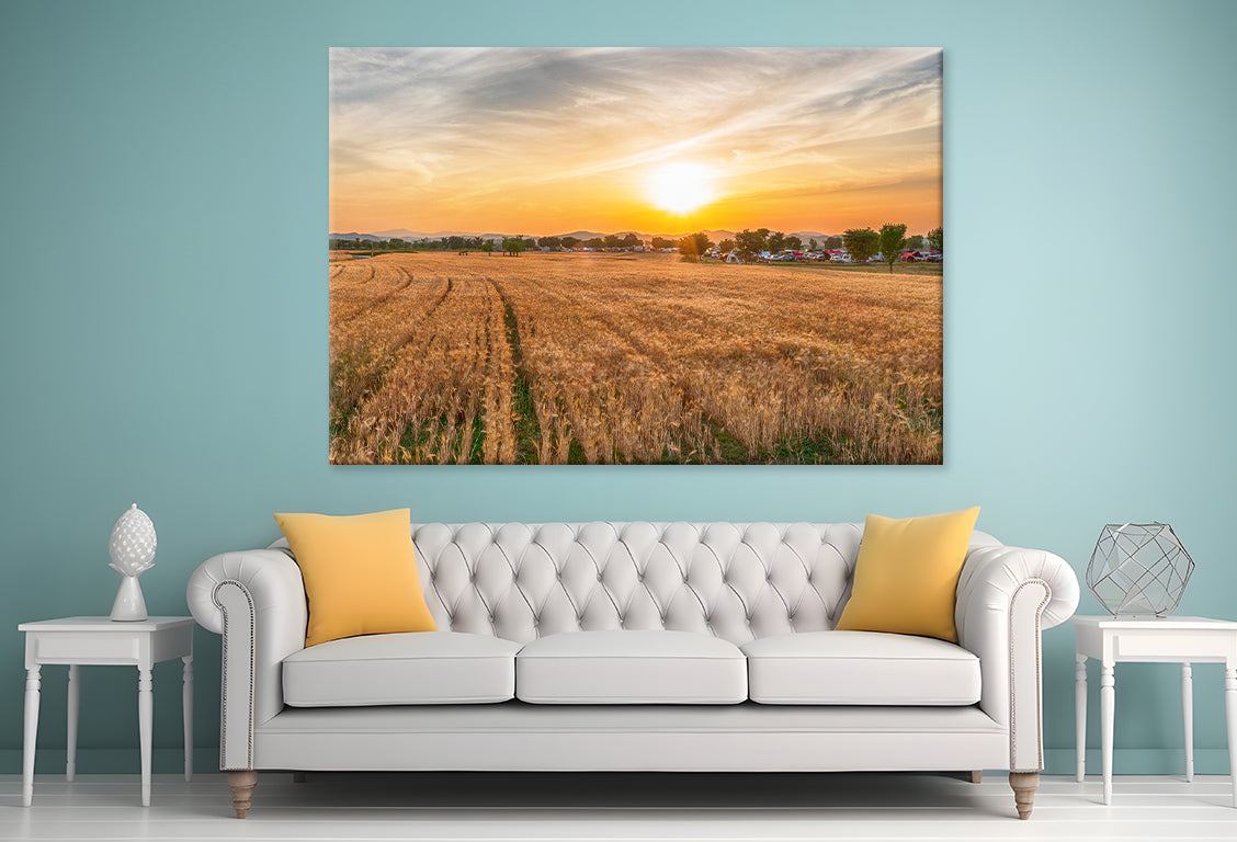 Aerial View of Nakdonggang Barley Field Wall Art Decor 100% Australian Made