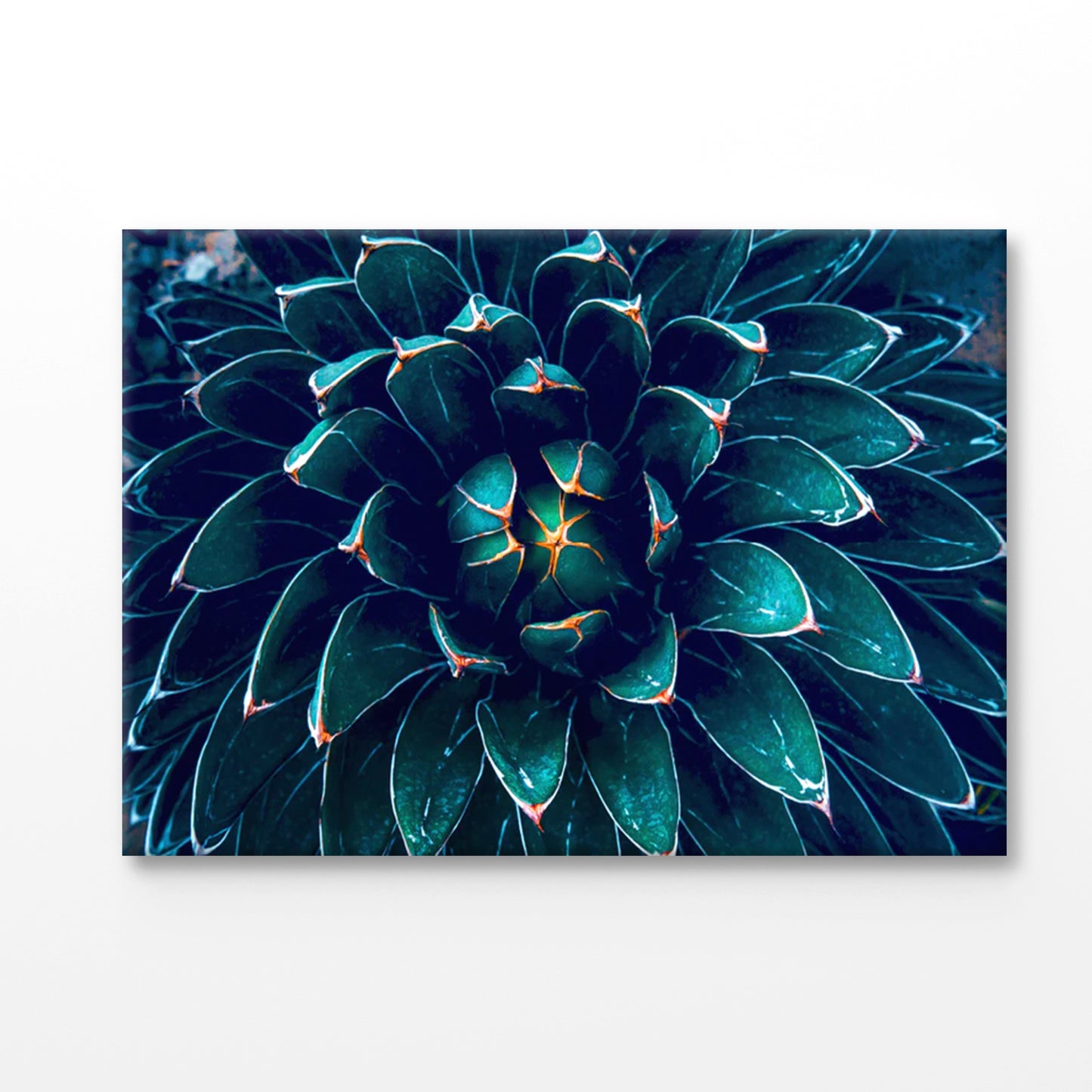 Bella Home Dark Green Cactus Flower Abstract Print Canvas Ready to hang