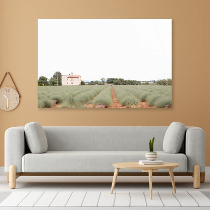 A House Located In a Field with Green Grass Acrylic Glass Print Tempered Glass Wall Art 100% Made in Australia Ready to Hang