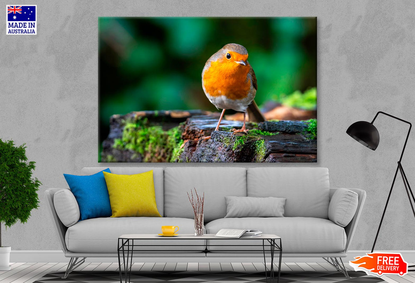 Robin Redbreast Bird a British European  Wall Art Decor 100% Australian Made