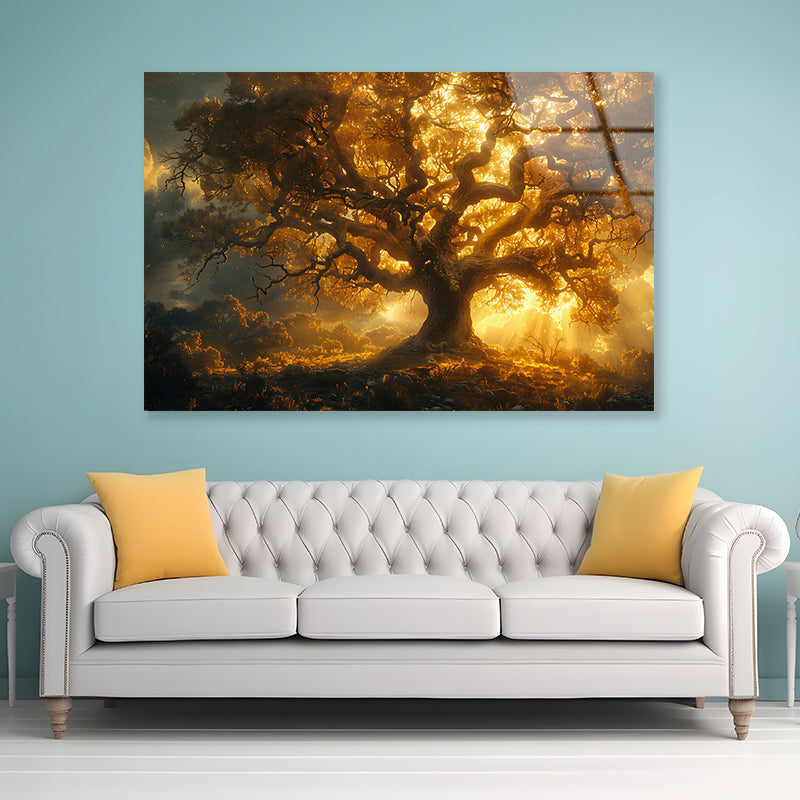 Sunset in the Forest View Acrylic Glass Print Tempered Glass Wall Art 100% Made in Australia Ready to Hang