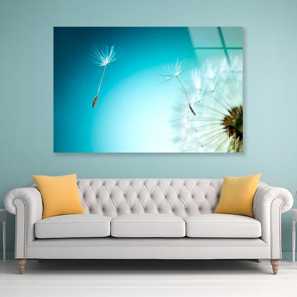 Dandelion Blowing in The Wind with A Blue Sky Acrylic Glass Print Tempered Glass Wall Art 100% Made in Australia Ready to Hang