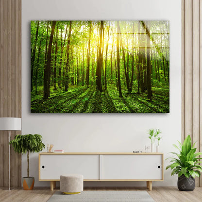 Stunning Green Forest UV Direct Aluminum Print Australian Made Quality