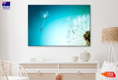 Dandelion Blowing in The Wind with A Blue Sky Wall Art Decor 100% Australian Made