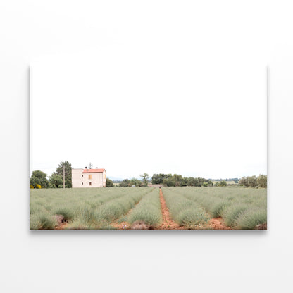 A House Located In a Field with Green Grass Print 100% Australian Made