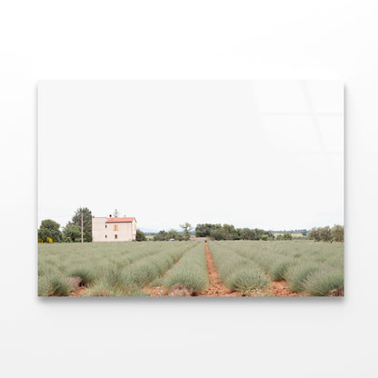 A House Located In a Field with Green Grass Acrylic Glass Print Tempered Glass Wall Art 100% Made in Australia Ready to Hang