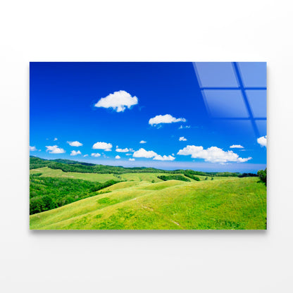 Grassland Scenery of the Northern Land Acrylic Glass Print Tempered Glass Wall Art 100% Made in Australia Ready to Hang