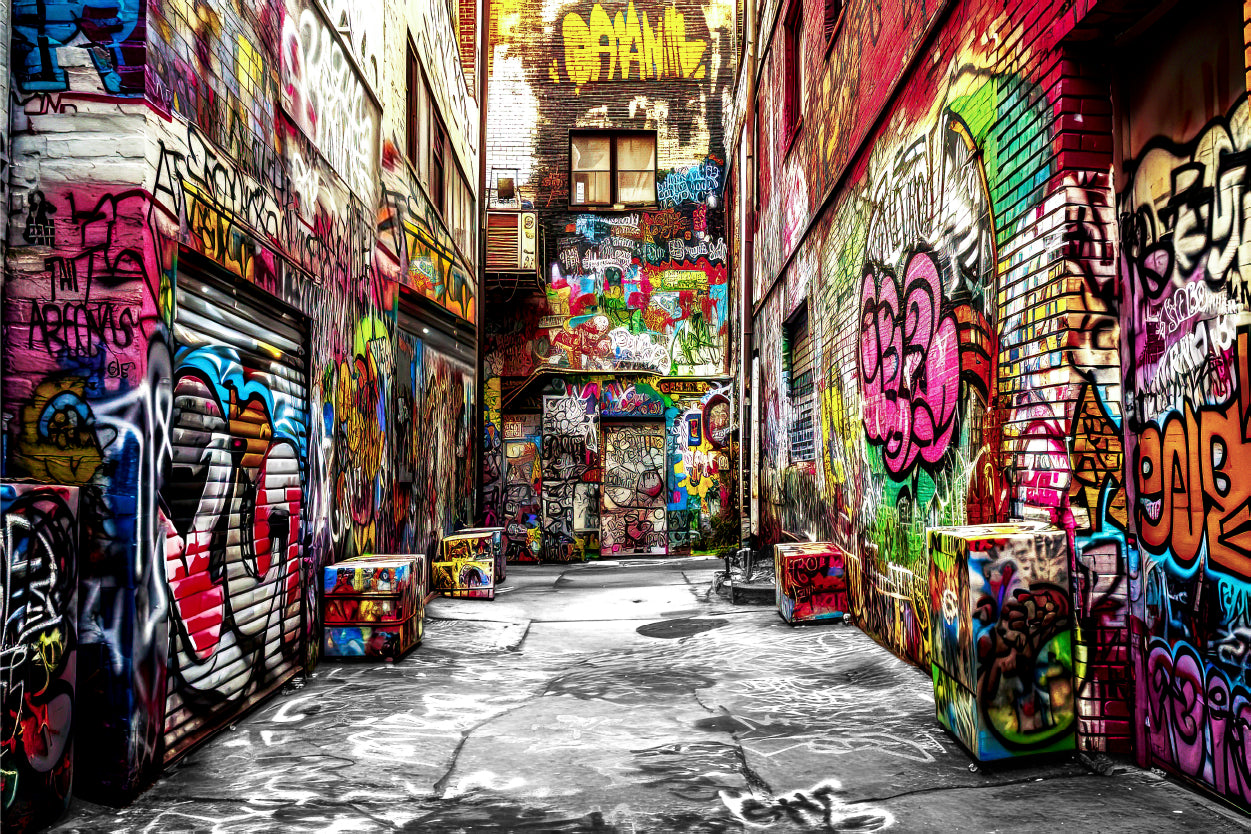 Modern Graffiti Street Painting Wall Art Decor 100% Australian Made