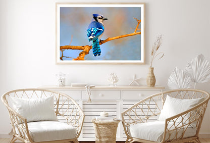 Lue Jay Sitting on A Tree Branch Home Decor Premium Quality Poster Print Choose Your Sizes