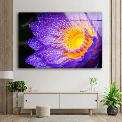 Purple Lotus Flower UV Direct Aluminum Print Australian Made Quality