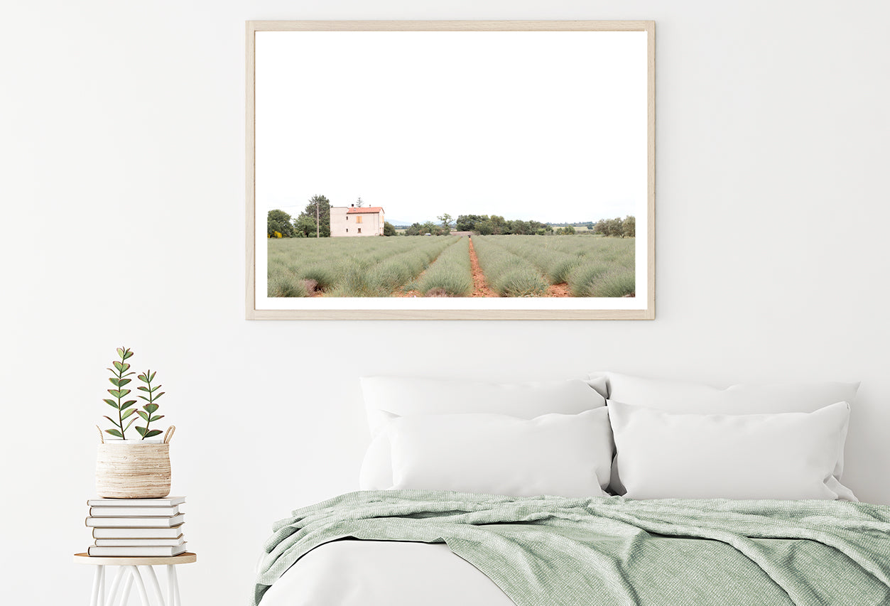 A House Located In a Field with Green Grass Home Decor Premium Quality Poster Print Choose Your Sizes