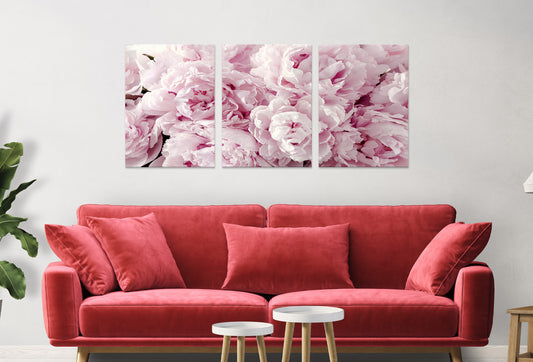 3pcs Peonies Pink Flowers Close up Wall Art Set Canvas Framed 40x60cm - High Quality Print 100% Australian Made Wall Canvas Ready to Hang