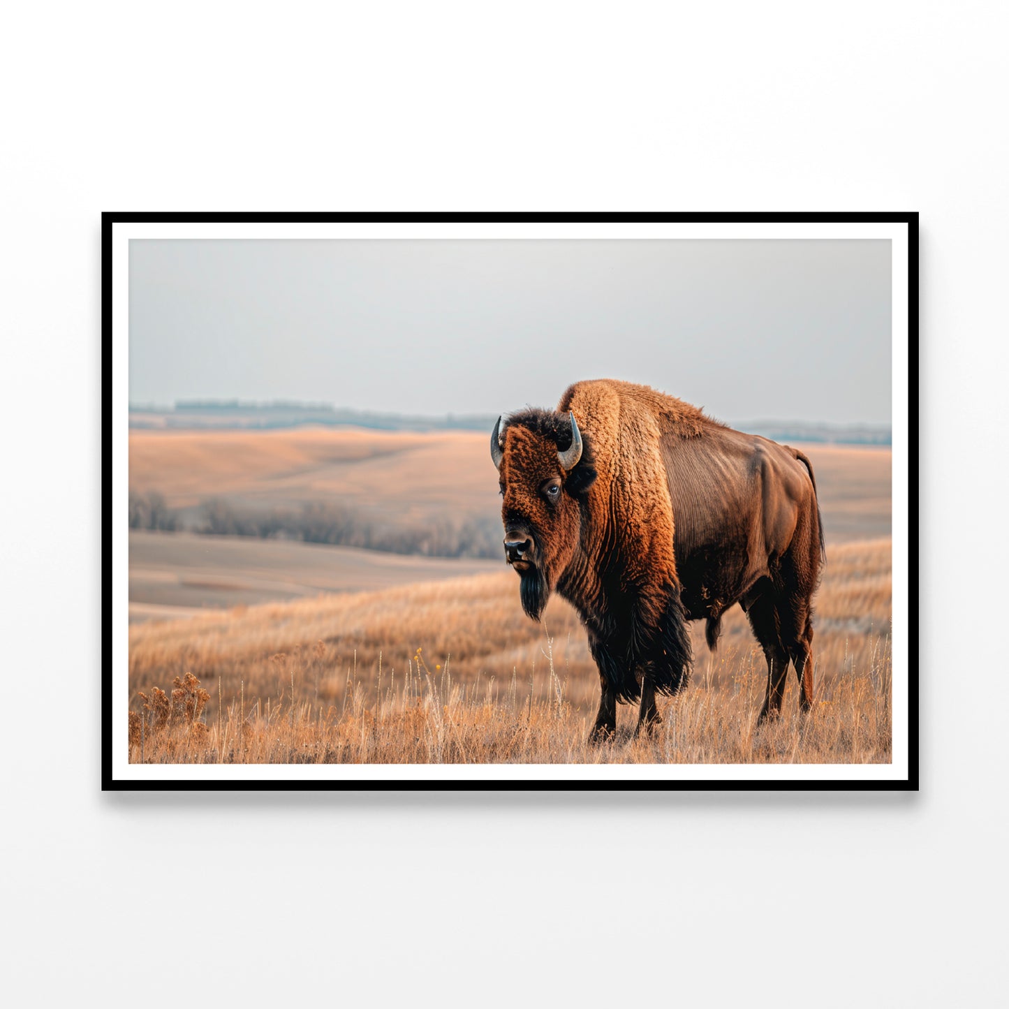 A Bison Standing In a Grassy Field View Home Decor Premium Quality Poster Print Choose Your Sizes