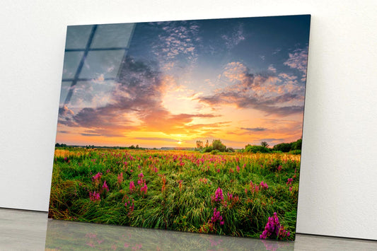 Sun Set Landscape with A Wild Field Full of Purple Flowers Acrylic Glass Print Tempered Glass Wall Art 100% Made in Australia Ready to Hang