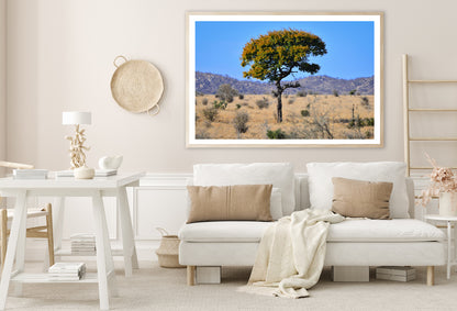 A Tree Standing In the Grasslands in South Africa Home Decor Premium Quality Poster Print Choose Your Sizes