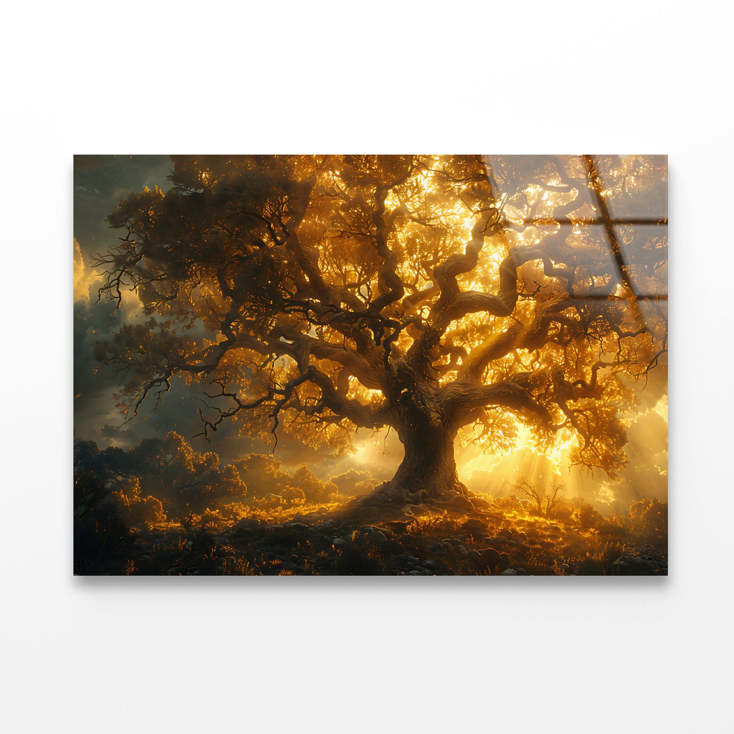 Sunset in the Forest View Acrylic Glass Print Tempered Glass Wall Art 100% Made in Australia Ready to Hang