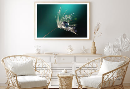 Water Droplet on Common Dandelion Home Decor Premium Quality Poster Print Choose Your Sizes