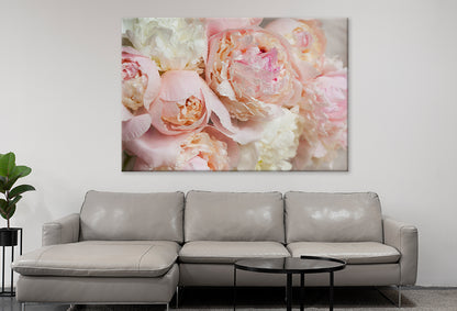Pink Peonies Bouquet Close-Up  Wall Art Decor 100% Australian Made