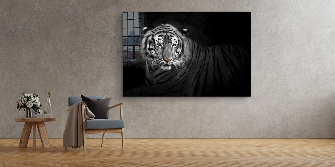 B&W Tiger Closeup View UV Direct Aluminum Print Australian Made Quality