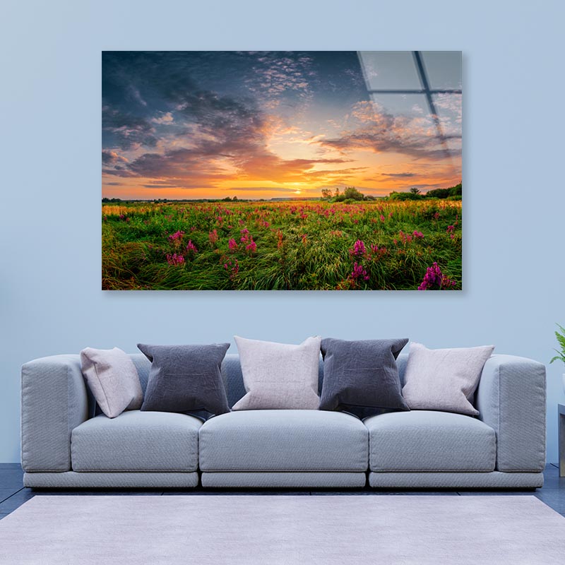 Sun Set Landscape with A Wild Field Full of Purple Flowers Acrylic Glass Print Tempered Glass Wall Art 100% Made in Australia Ready to Hang