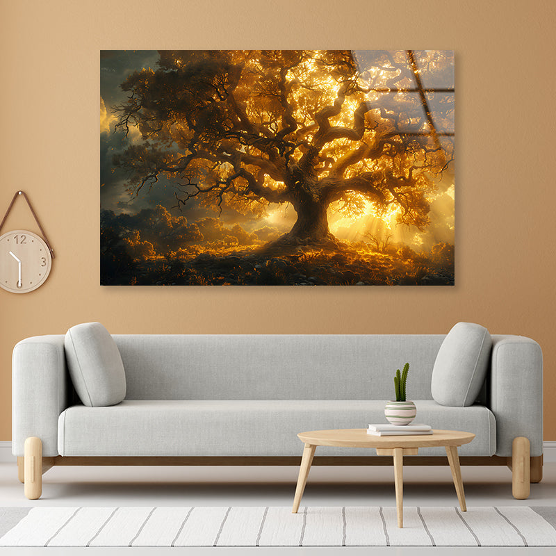 Sunset in the Forest View Acrylic Glass Print Tempered Glass Wall Art 100% Made in Australia Ready to Hang