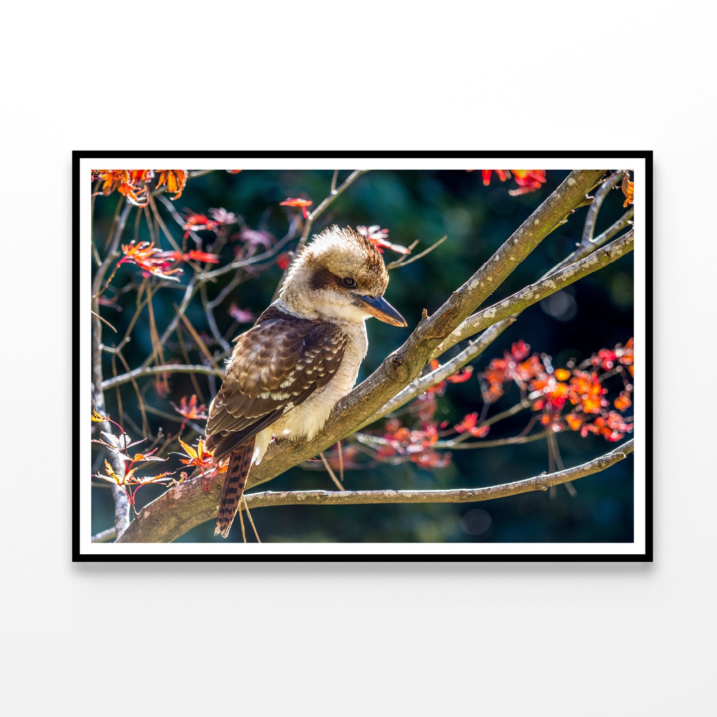 Bird On Branch Red with Flower Home Decor Premium Quality Poster Print Choose Your Sizes