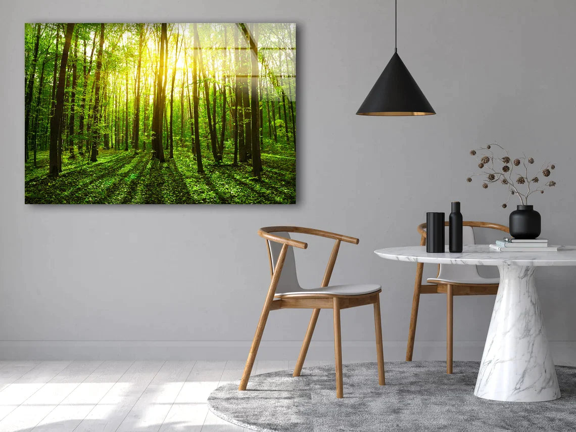 Stunning Green Forest UV Direct Aluminum Print Australian Made Quality