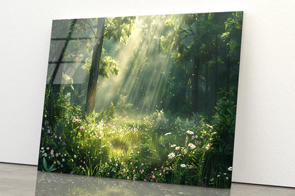 Sun Rays in the Forest Acrylic Glass Print Tempered Glass Wall Art 100% Made in Australia Ready to Hang