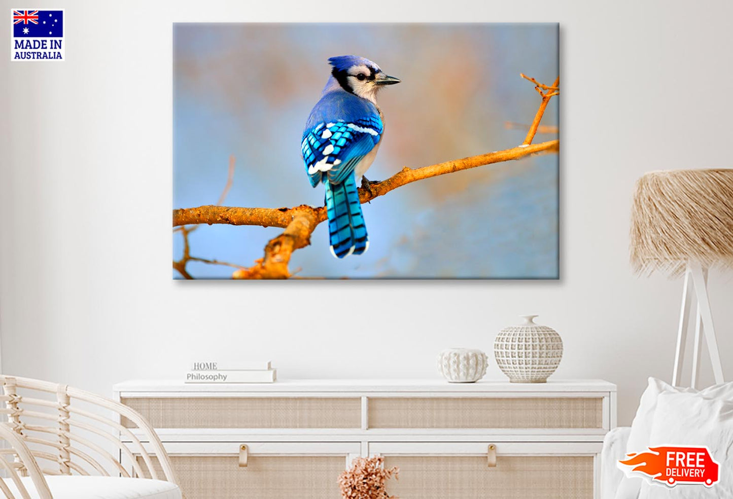 Lue Jay Sitting on A Tree Branch  Wall Art Decor 100% Australian Made