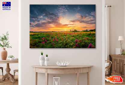 Sun Set Landscape with A Wild Field Full of Purple Flowers Wall Art Decor 100% Australian Made