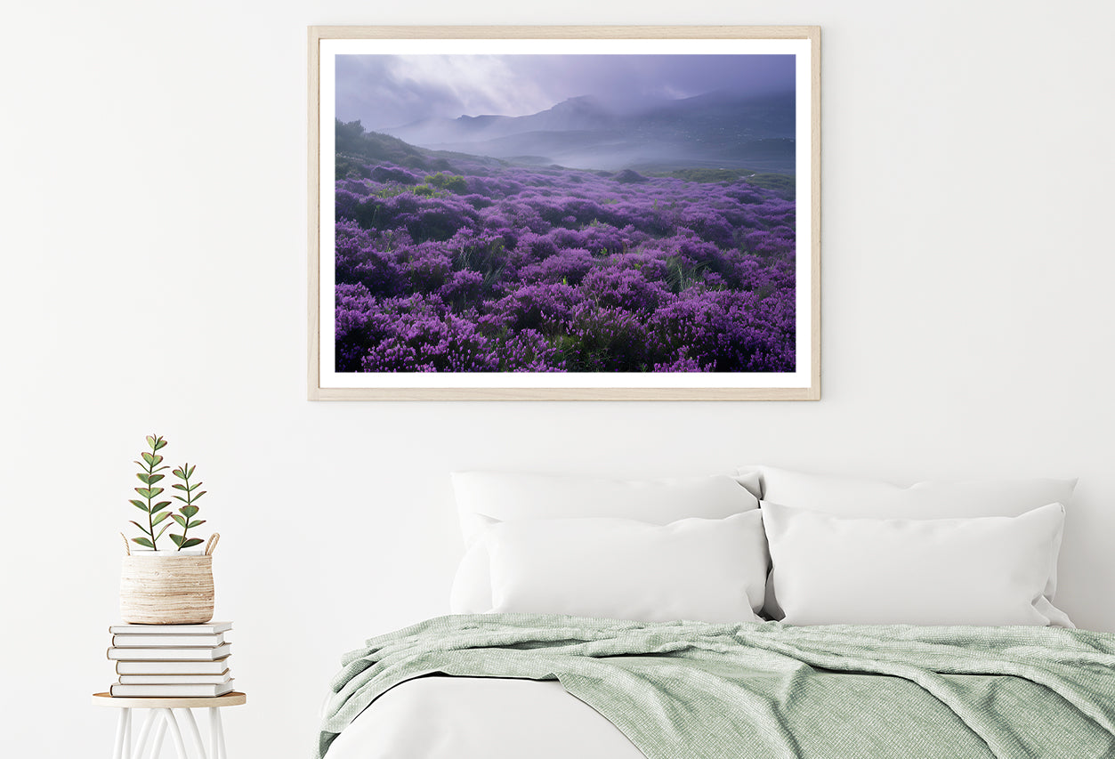 Very Beautiful View at Heather Meadows Home Decor Premium Quality Poster Print Choose Your Sizes