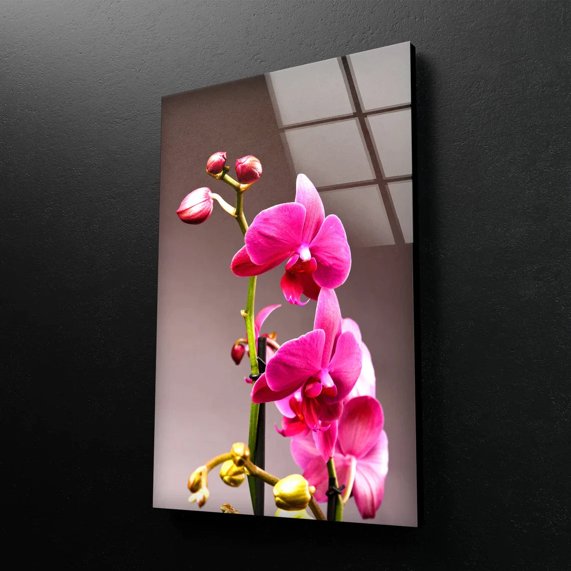 Pink Orchid Flowers UV Direct Aluminum Print Australian Made Quality