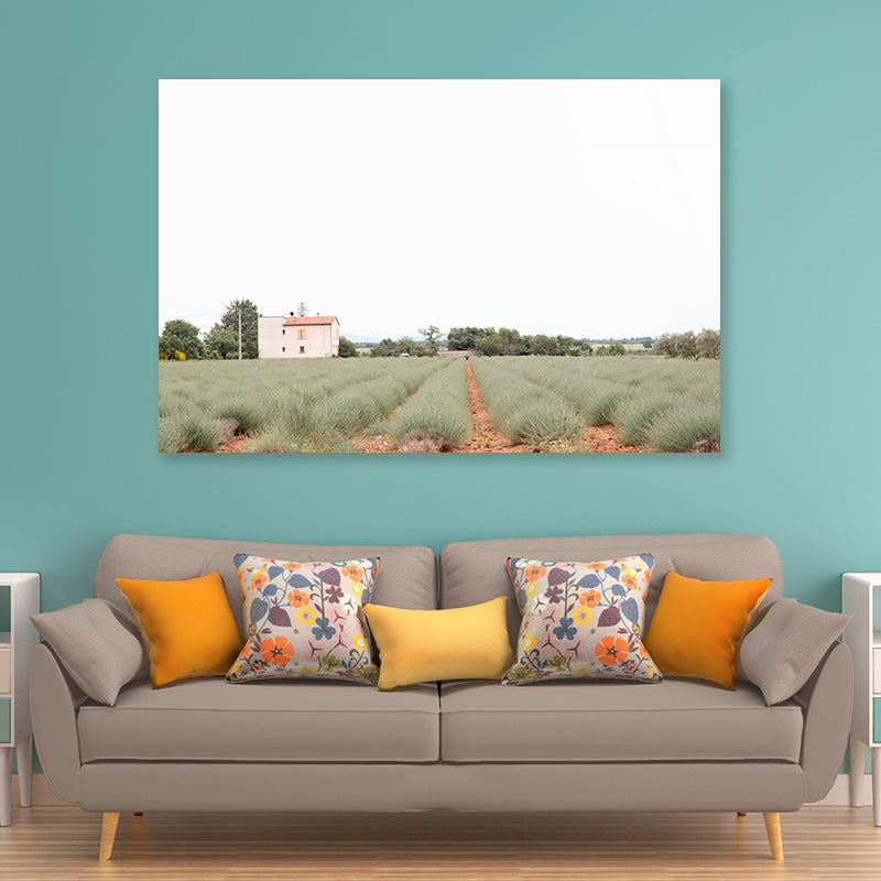 A House Located In a Field with Green Grass Acrylic Glass Print Tempered Glass Wall Art 100% Made in Australia Ready to Hang