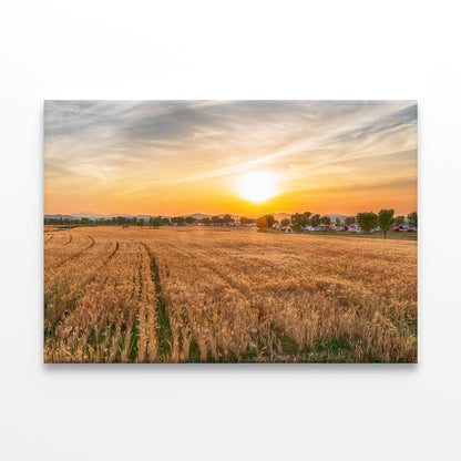 Aerial View of Nakdonggang Barley Field Wall Art Decor 100% Australian Made