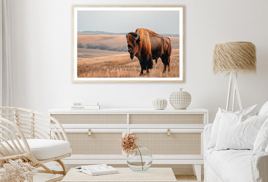 A Bison Standing In a Grassy Field View Home Decor Premium Quality Poster Print Choose Your Sizes