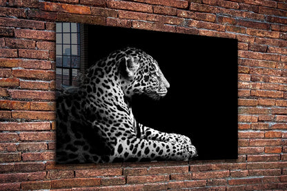 Leopard B&W View UV Direct Aluminum Print Australian Made Quality