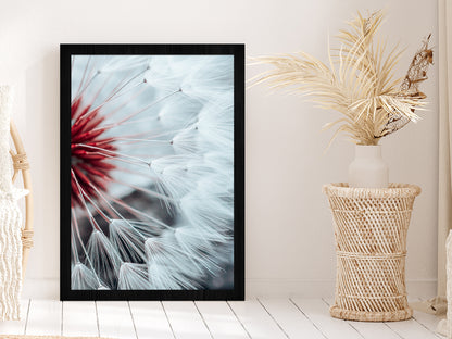 Dandelion Flower Seed In Springtime Glass Framed Wall Art, Ready to Hang Quality Print Without White Border Black