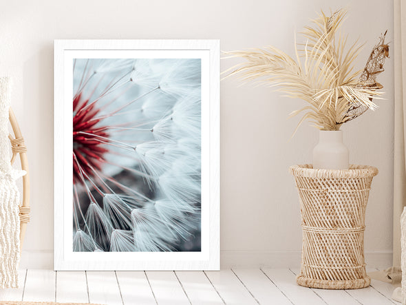 Dandelion Flower Seed In Springtime Glass Framed Wall Art, Ready to Hang Quality Print