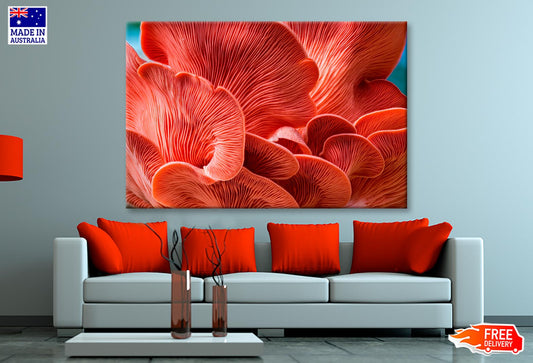 Close Up of a Red Mushroom Wall Art Decor 100% Australian Made