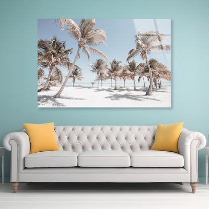 Palm Trees and Sandy Beach Acrylic Glass Print Tempered Glass Wall Art 100% Made in Australia Ready to Hang