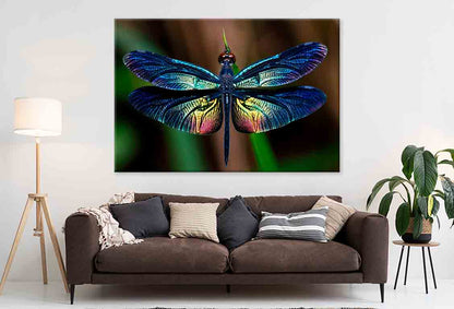 Beautiful Wing of Dragonfly Wall Art Decor 100% Australian Made